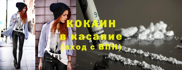 шишки Карпинск