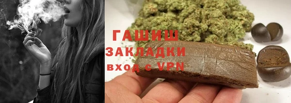 индика Ладушкин