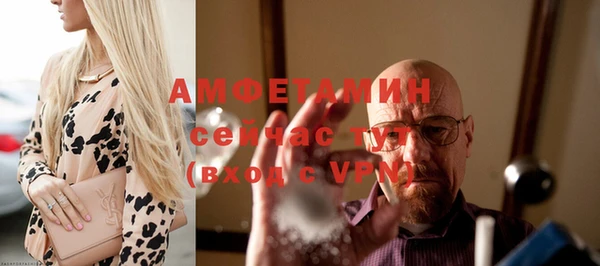 шишки Карпинск