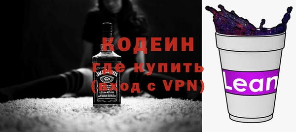 шишки Карпинск