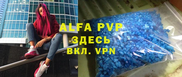 шишки Карпинск