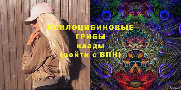 шишки Карпинск
