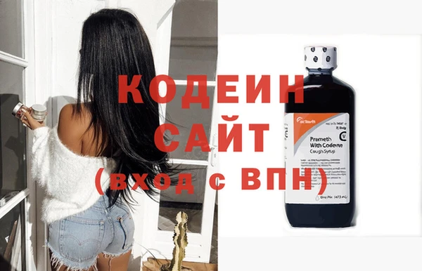 шишки Карпинск